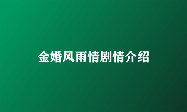 金婚风雨情剧情介绍
