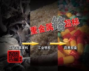 药企涉用皮革明胶事件的介绍