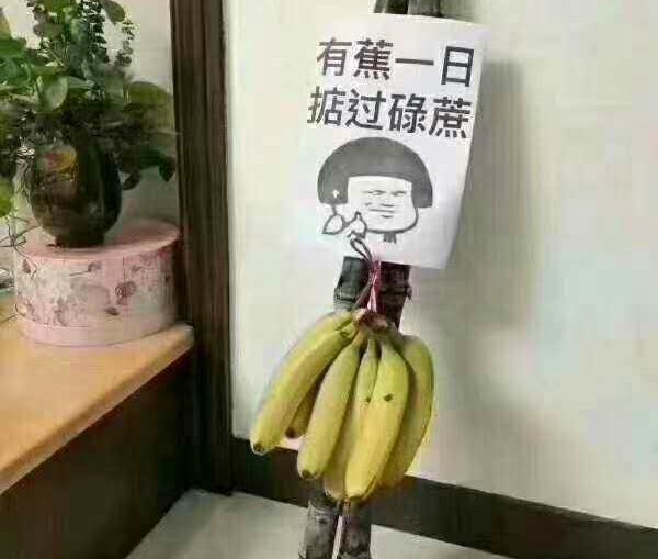 大学毕业拿条香蕉一条甘蔗什么意思？