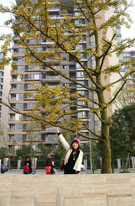 翠微的词语的出处与详解