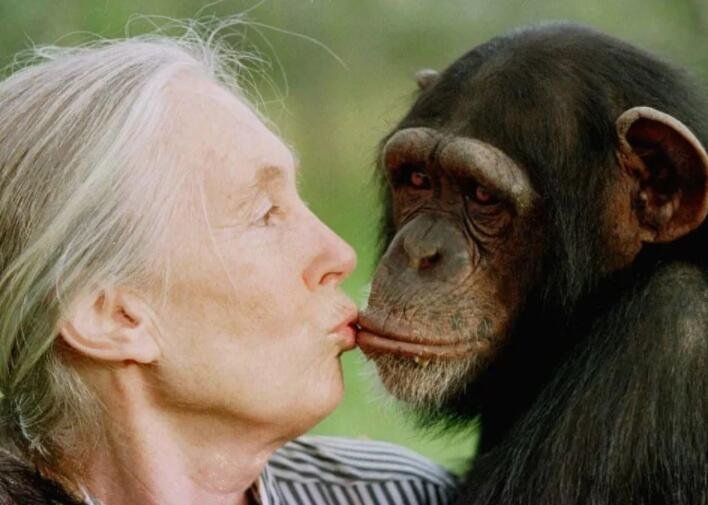 比利时女子宣称“爱上”黑猩猩达4年，人真的会与动物相爱吗？