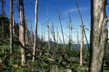 酸雨的治理措施