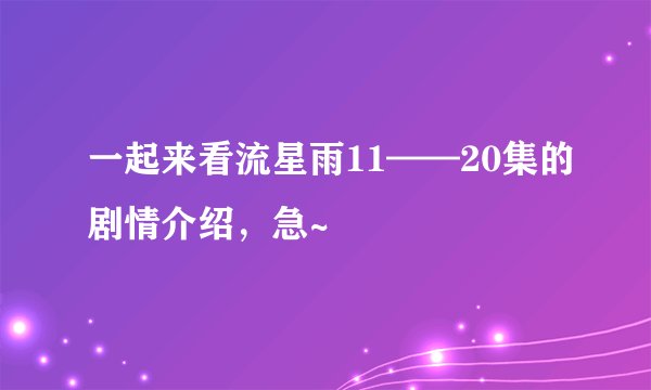 一起来看流星雨11——20集的剧情介绍，急~