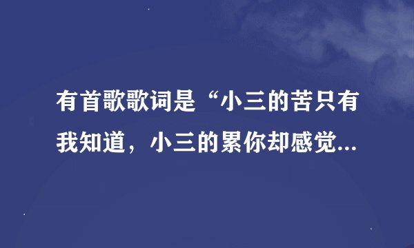 有首歌歌词是“小三的苦只有我知道，小三的累你却感觉不到” 求歌词