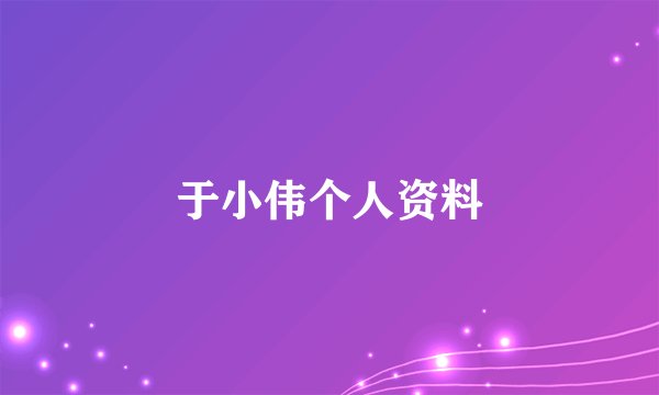 于小伟个人资料