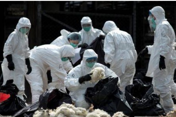 吐鲁番为什么封城了呢？