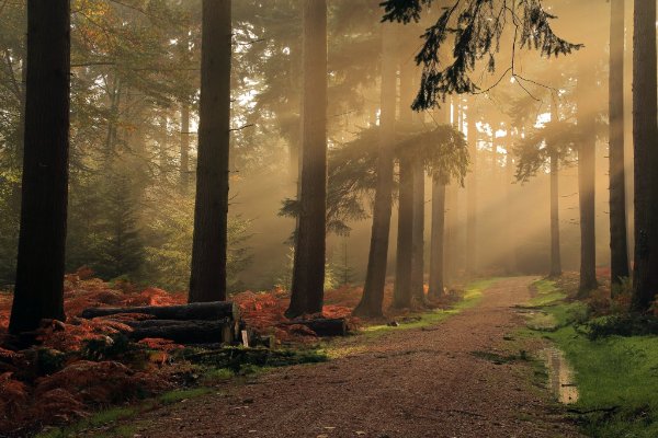 挪威的森林高能片段描写