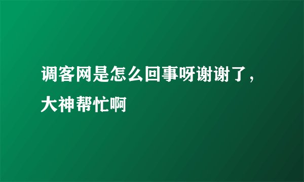 调客网是怎么回事呀谢谢了，大神帮忙啊