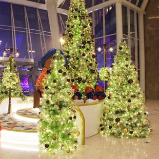 圣诞夜是哪天？