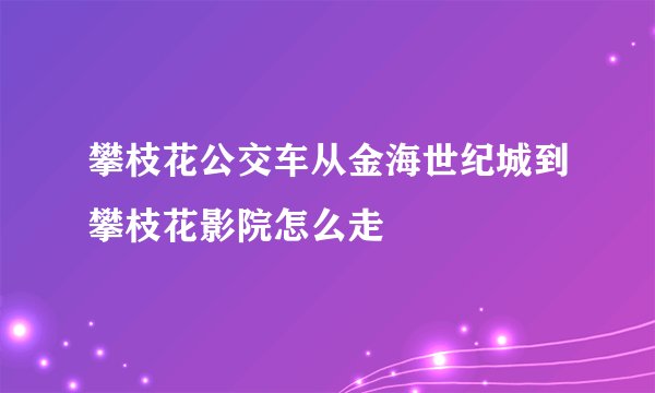 攀枝花公交车从金海世纪城到攀枝花影院怎么走