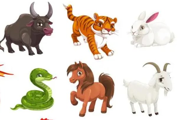 五里云雾比喻什么生肖