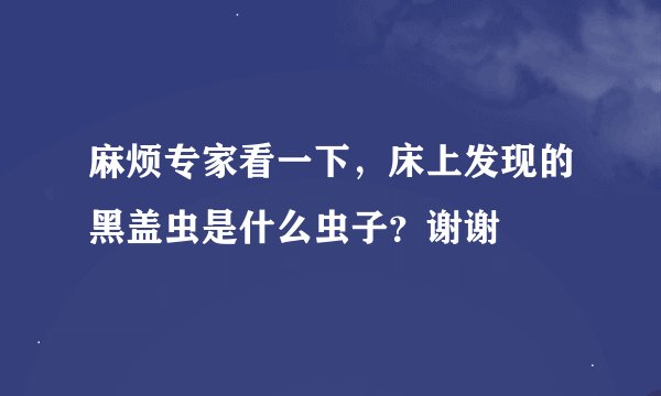 麻烦专家看一下，床上发现的黑盖虫是什么虫子？谢谢