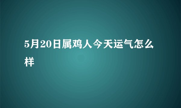 5月20日属鸡人今天运气怎么样
