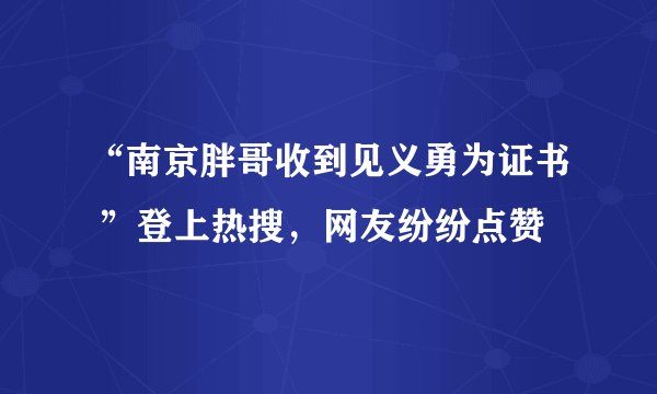 “南京胖哥收到见义勇为证书 ”登上热搜，网友纷纷点赞