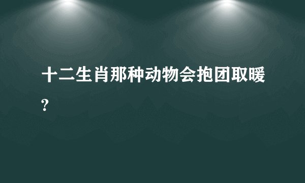 十二生肖那种动物会抱团取暖?