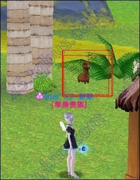 qq炫舞神兽萌萌在哪里