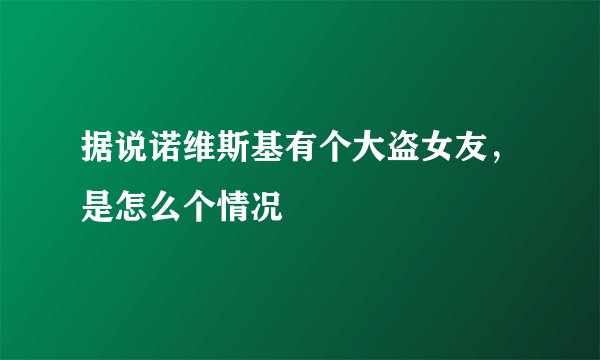 据说诺维斯基有个大盗女友，是怎么个情况