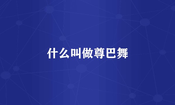 什么叫做尊巴舞