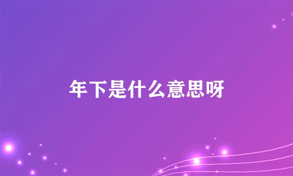 年下是什么意思呀