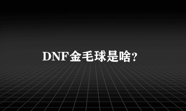 DNF金毛球是啥？