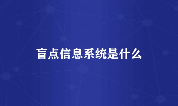 盲点信息系统是什么