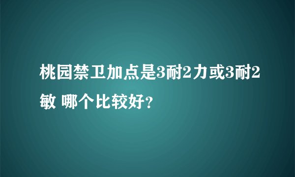 桃园禁卫加点是3耐2力或3耐2敏 哪个比较好？