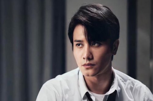 彭冠英主演的电视剧大全