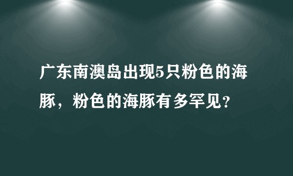 广东南澳岛出现5只粉色的海豚，粉色的海豚有多罕见？