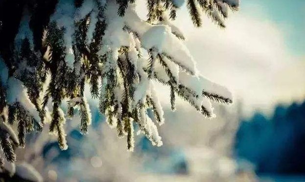 2019数九,二九是哪天