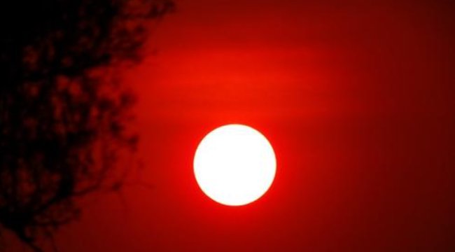 红红的太阳像什么一年级?