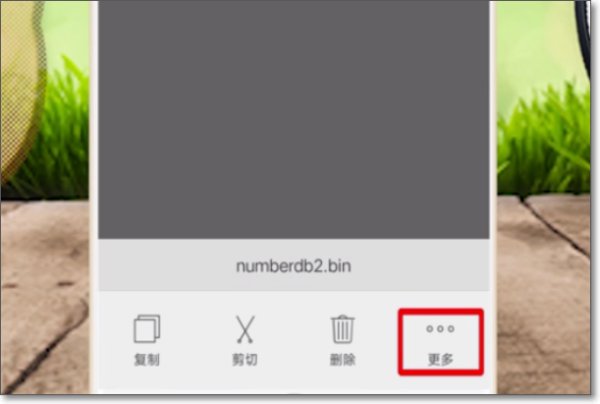 如何打开手机里bin格式的文件
