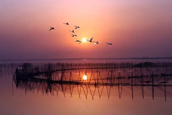 江西鄱阳湖水域面积正在逐步恢复,为什么今年这么旱?明年还会继续旱吗?