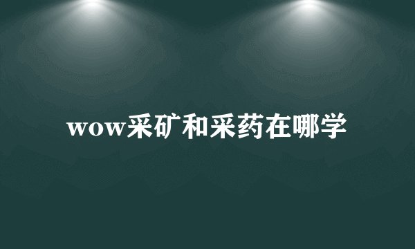 wow采矿和采药在哪学