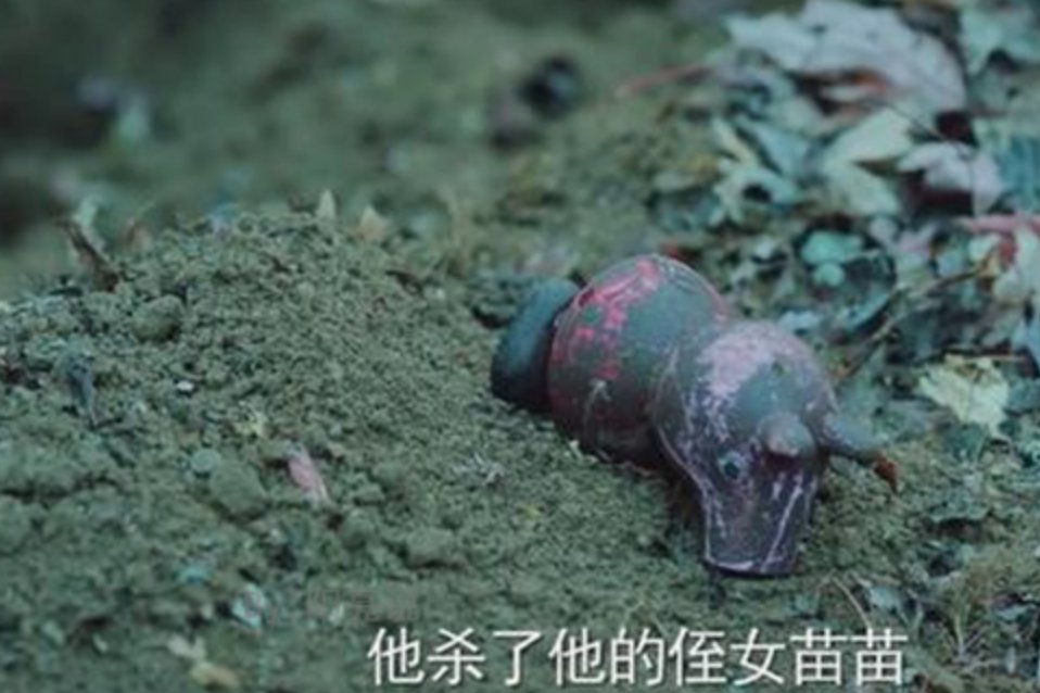 《巡回检察组》苗苗到底怎么了？