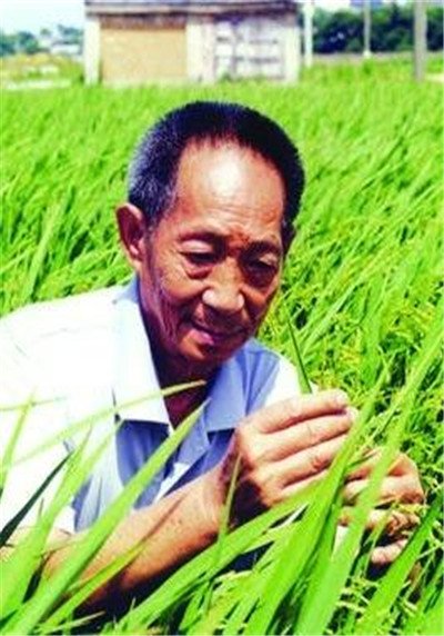 中华儿女热爱祖国,报效祖国,为国争光的小故事