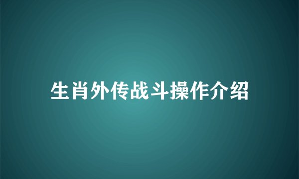 生肖外传战斗操作介绍