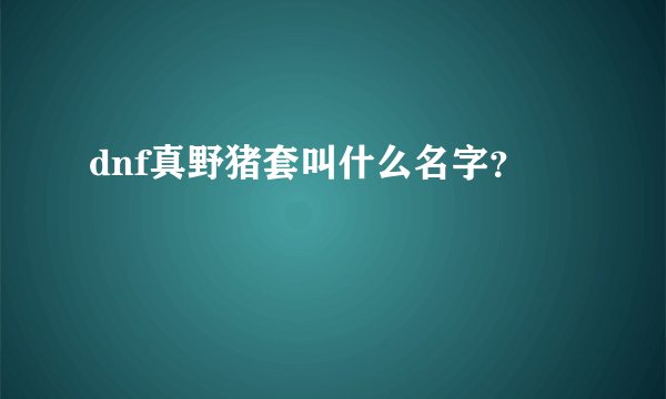 dnf真野猪套叫什么名字？