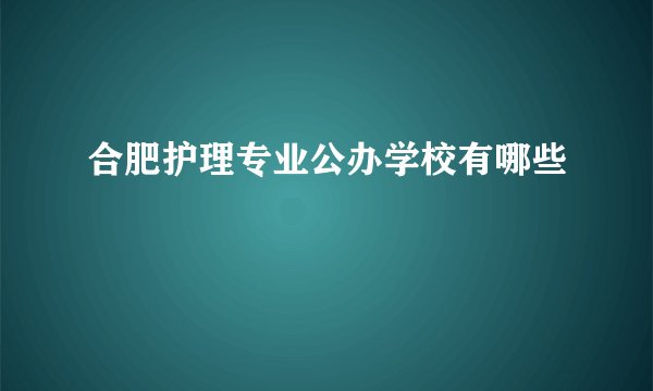 合肥护理专业公办学校有哪些