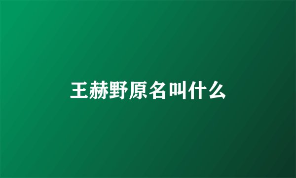 王赫野原名叫什么