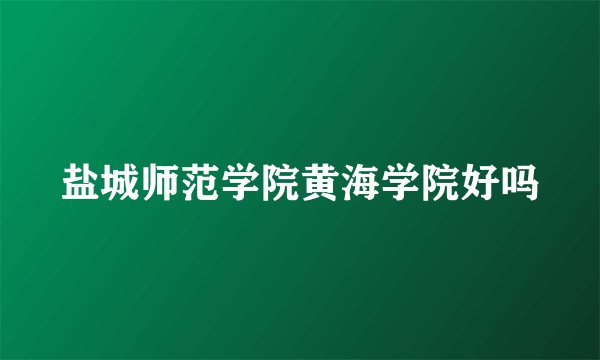 盐城师范学院黄海学院好吗