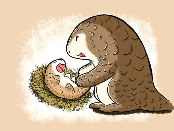 穿山甲用什么来捕食蚂蚁森林