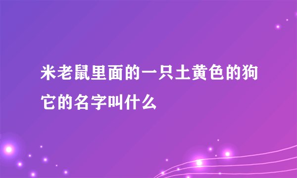 米老鼠里面的一只土黄色的狗它的名字叫什么