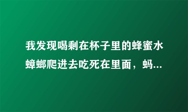 我发现喝剩在杯子里的蜂蜜水蟑螂爬进去吃死在里面，蚂蚁进去也死在杯子里一大片，难道蜂蜜水有毒？