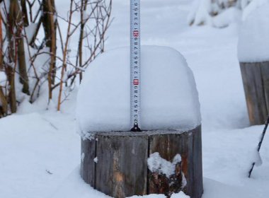 辽宁鞍山下暴雪，市民穿滑雪板出街，你如何看待这件事？