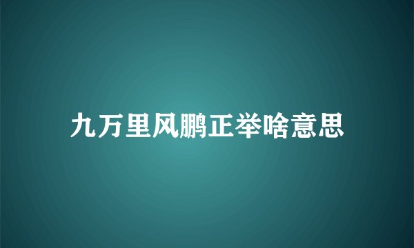 九万里风鹏正举啥意思