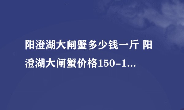 阳澄湖大闸蟹多少钱一斤 阳澄湖大闸蟹价格150-160元/斤