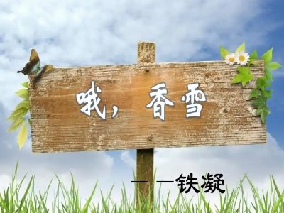 哦香雪语言特点