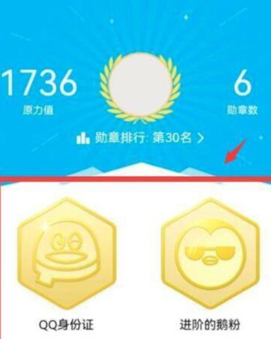 2022新版qq勋章墙在哪