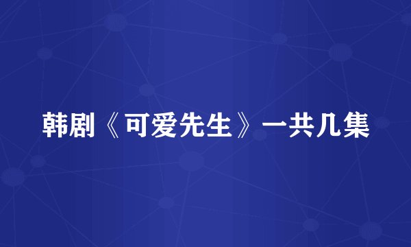 韩剧《可爱先生》一共几集