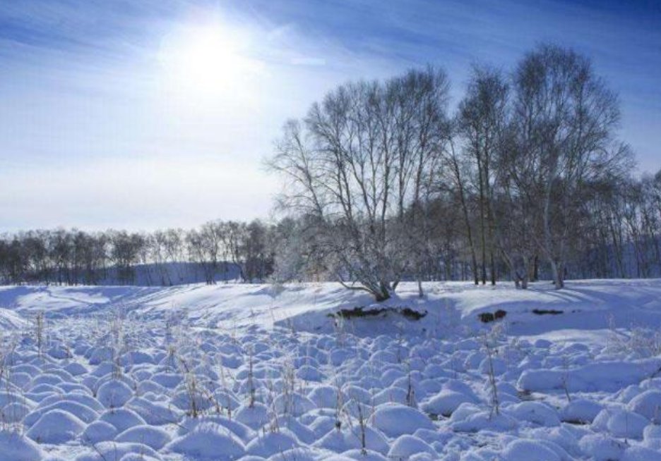 2020年冬至节是几月几号